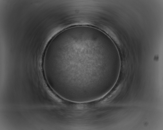 X0000102010797200807181227