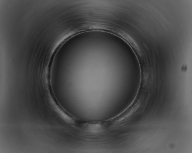 X0000102010798200807181227