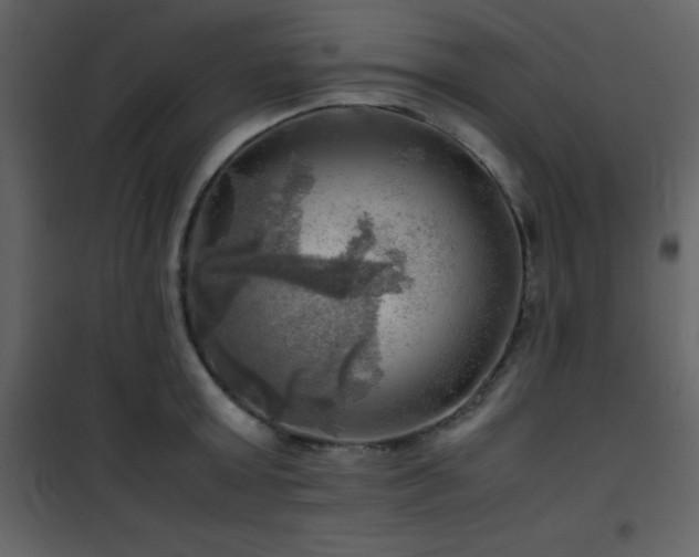 X0000102010803200807181227
