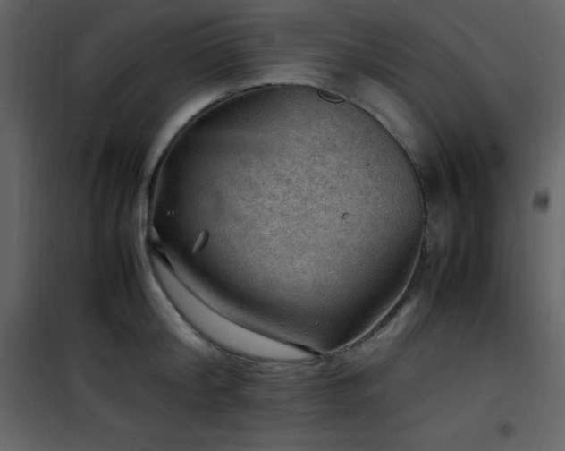 X0000102010804200807181227