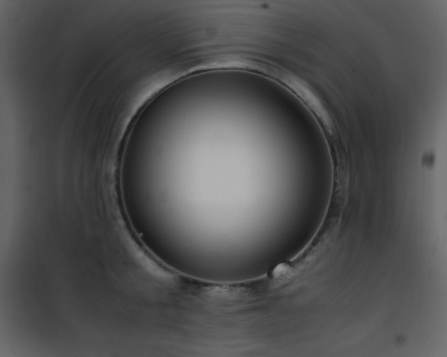 X0000102010805200807181227