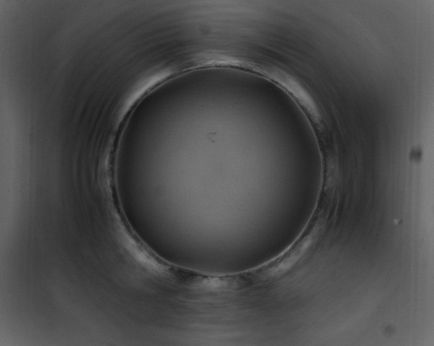 X0000102010806200807181227