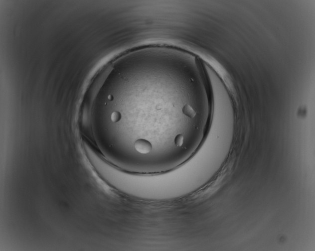 X0000102010807200807181227