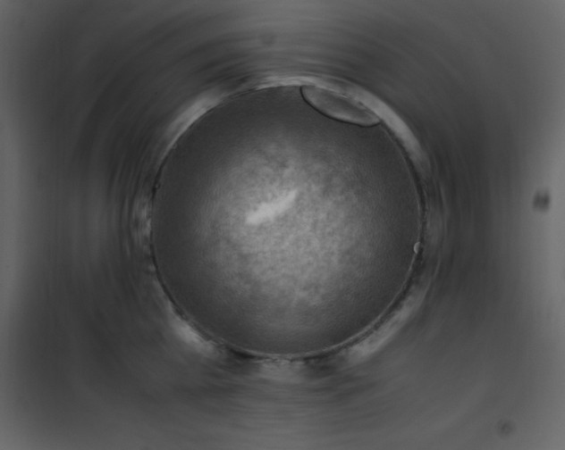 X0000102010809200807181227