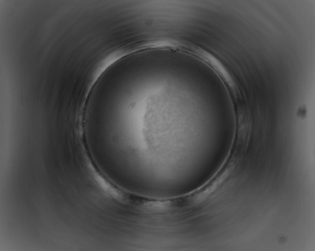 X0000102010810200807181227