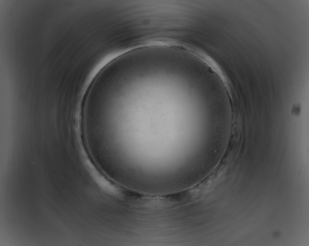 X0000102010811200807181227