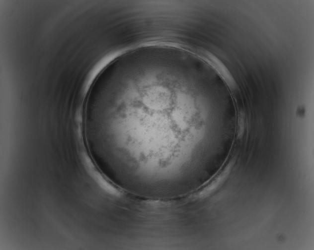 X0000102010812200807181227