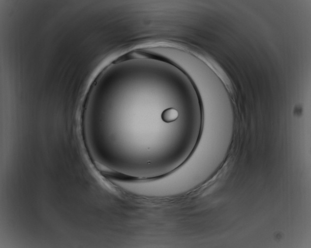 X0000102010813200807181227