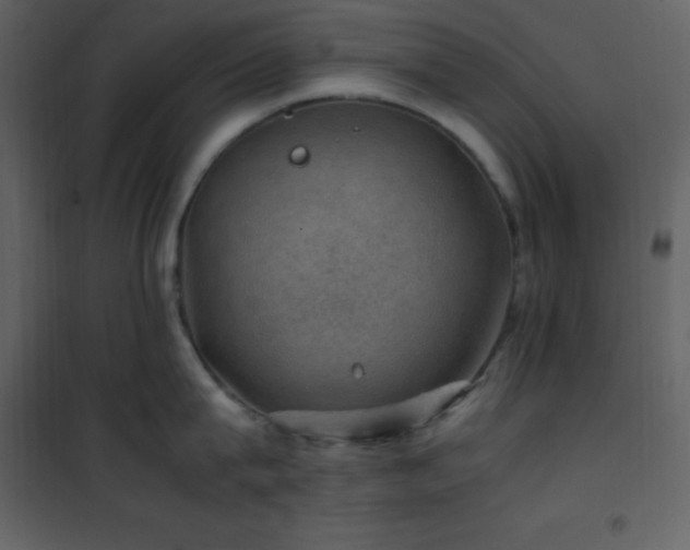 X0000102010815200807181227