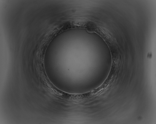 X0000102010817200807181226