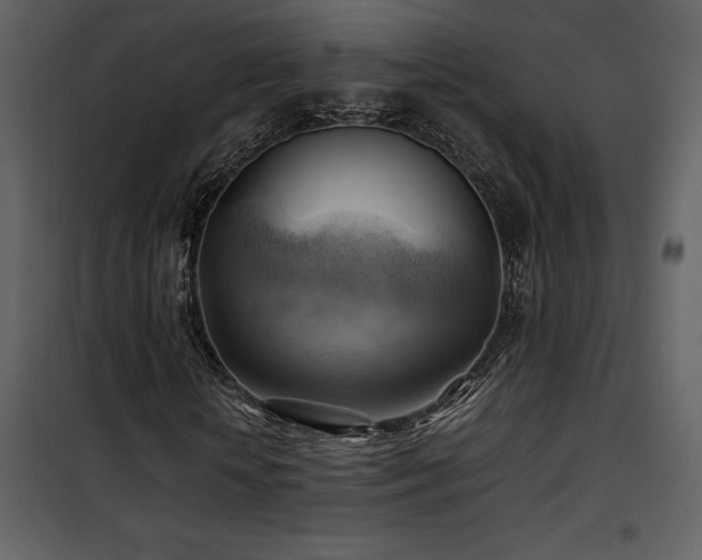 X0000102010818200807181226