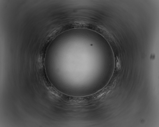 X0000102010819200807181226