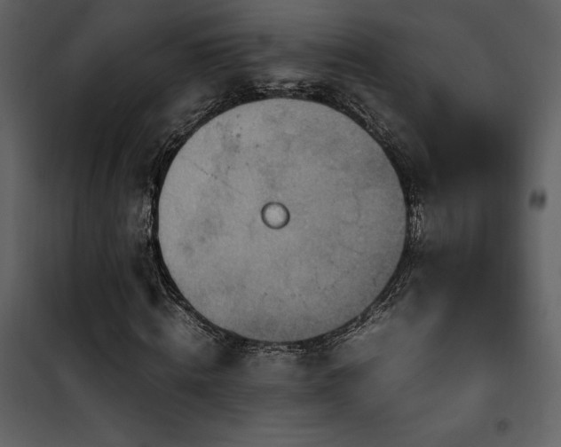 X0000102010820200807181226