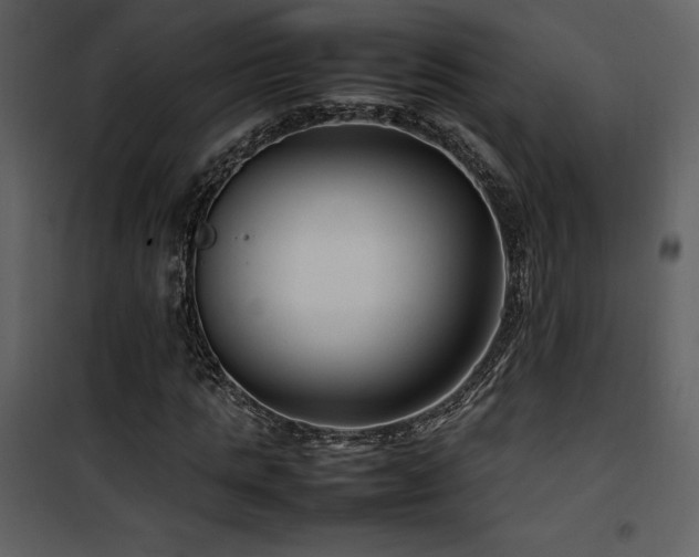 X0000102010821200807181226
