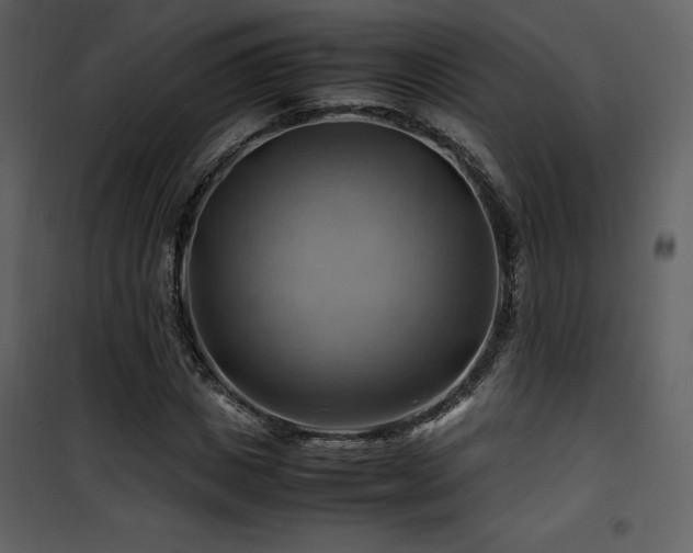 X0000102010825200807181226
