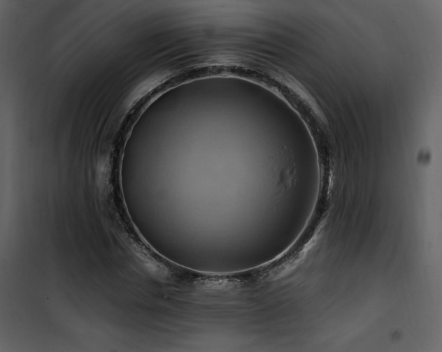 X0000102010826200807181226