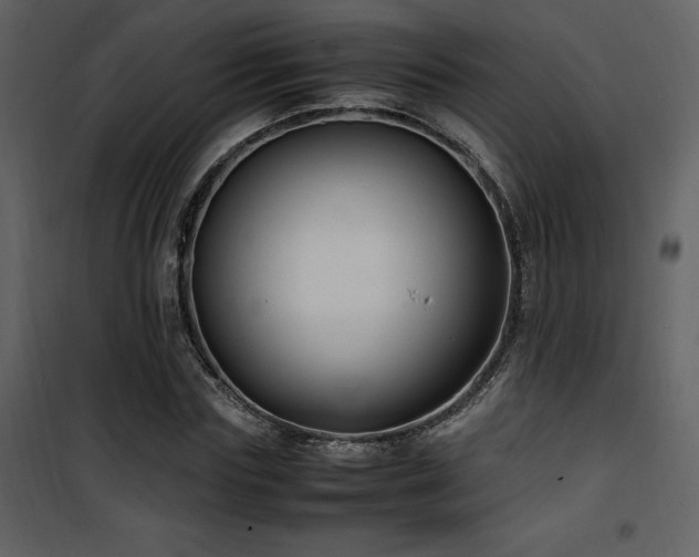 X0000102010827200807181226