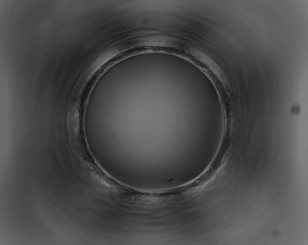 X0000102010829200807181226