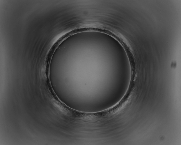 X0000102010830200807181226