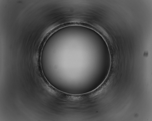 X0000102010831200807181226