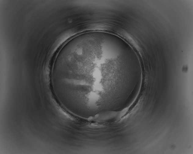 X0000102010835200807181226