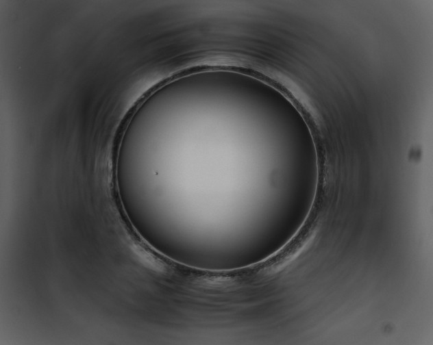 X0000102010837200807181226