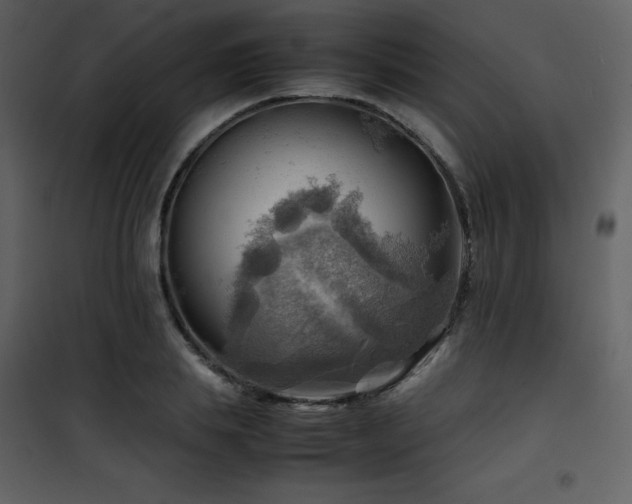 X0000102010839200807181226