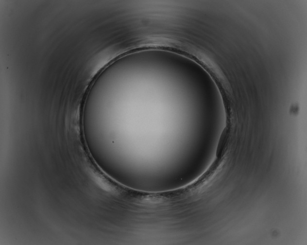 X0000102010842200807181226