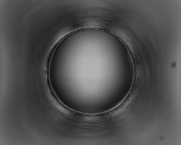 X0000102010843200807181226