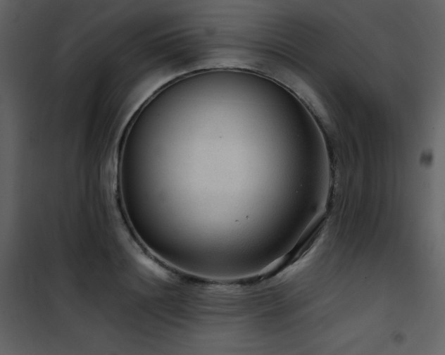 X0000102010844200807181226