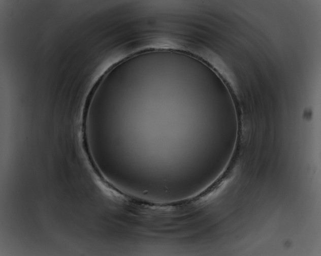 X0000102010845200807181226