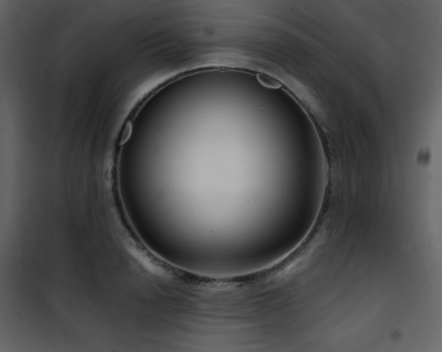 X0000102010846200807181226