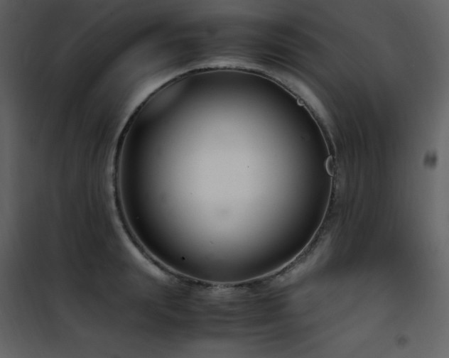 X0000102010847200807181226