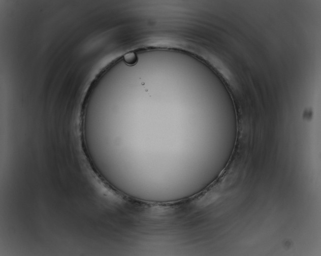 X0000102010848200807181226