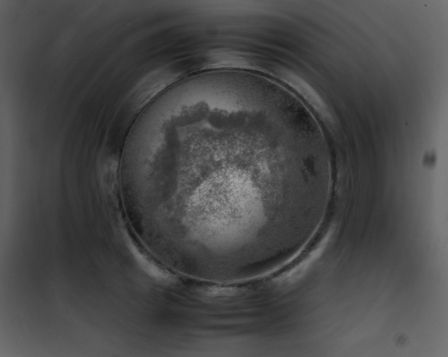 X0000102010849200807181226