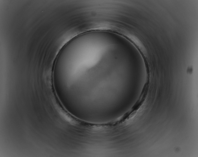 X0000102010850200807181226