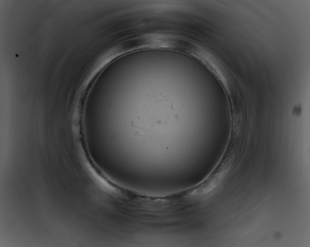 X0000102010851200807181227