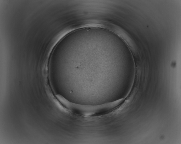 X0000102010852200807181227