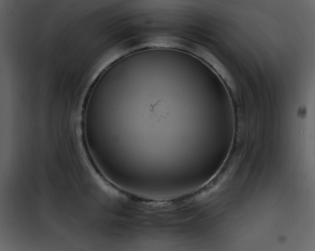 X0000102010853200807181227
