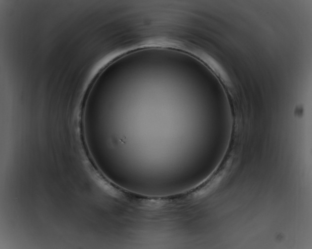 X0000102010854200807181227