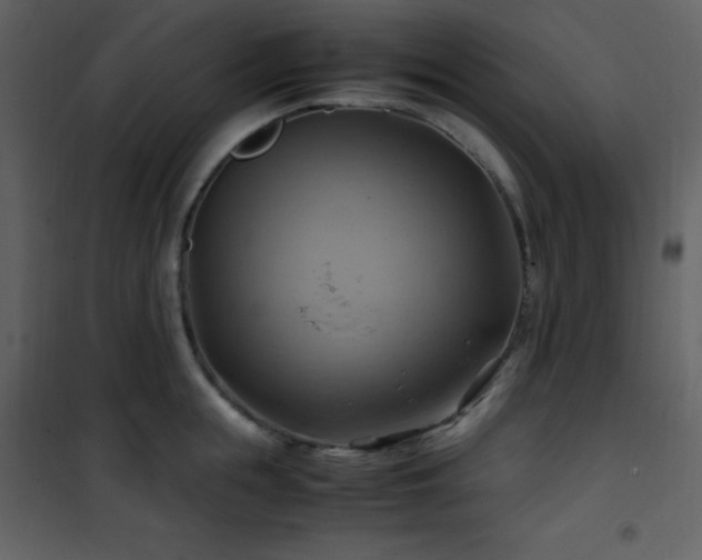 X0000102010855200807181227