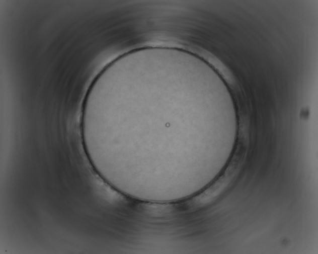 X0000102010856200807181227