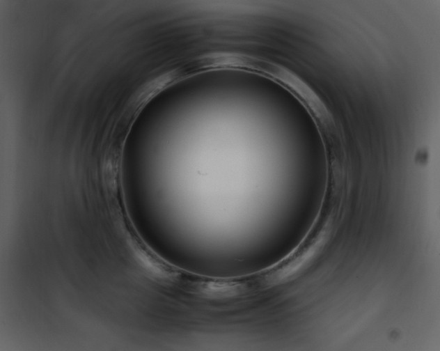 X0000102010857200807181227