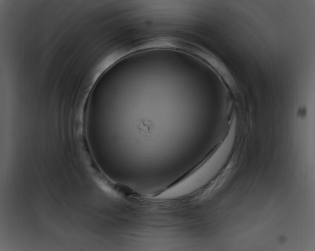 X0000102010858200807181227