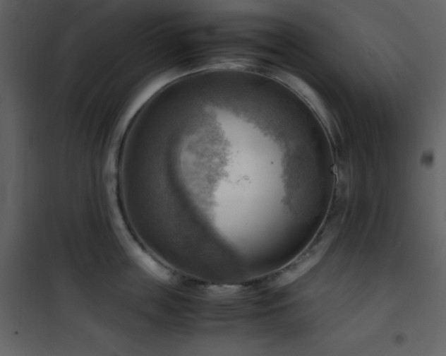 X0000102010859200807181227