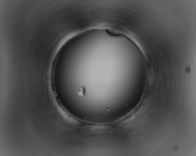 X0000102010861200807181227