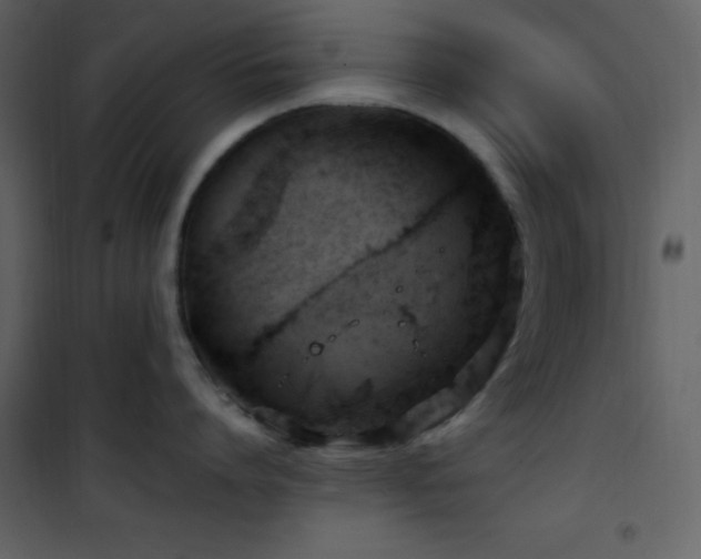 X0000102010864200807181227