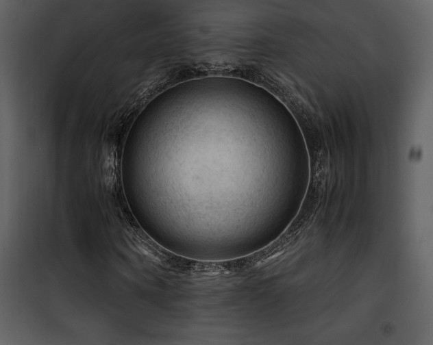 X0000102010866200807181226