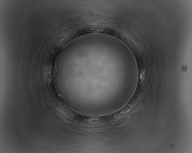 X0000102010867200807181226