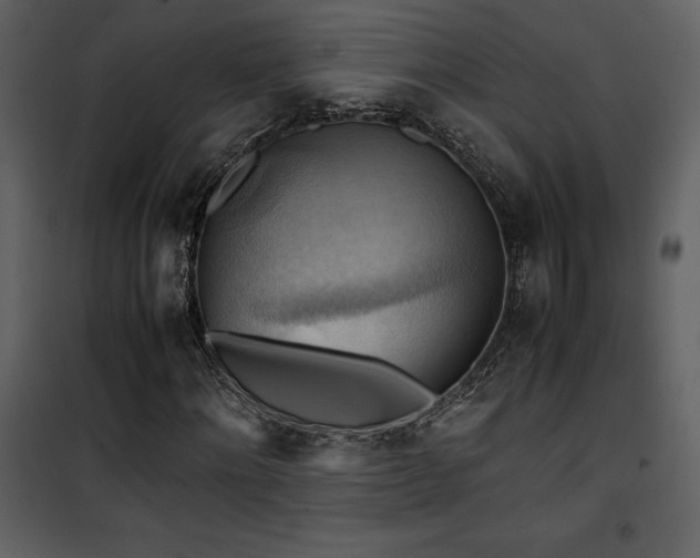 X0000102010868200807181226